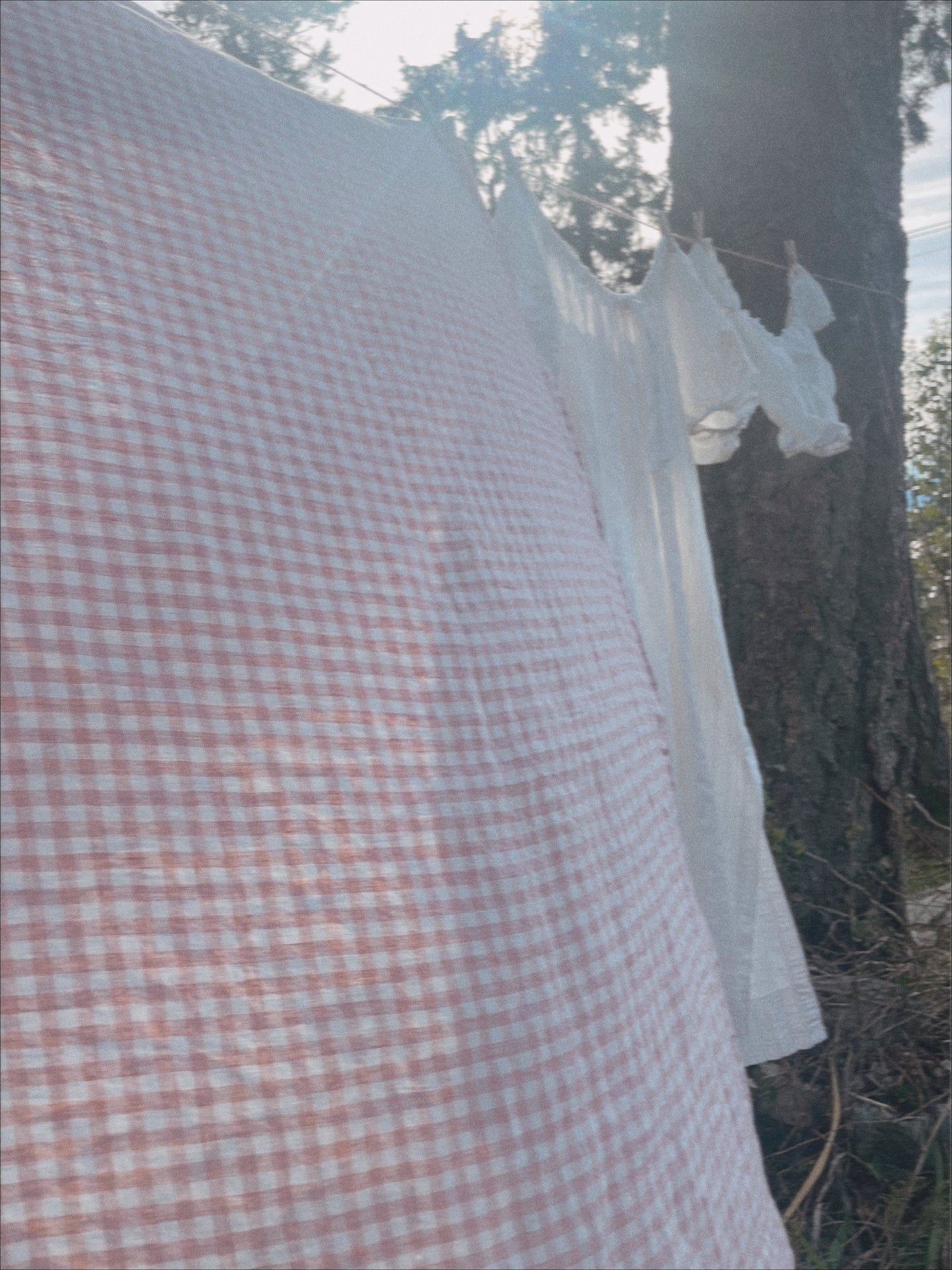 Rose Gingham Tablecloth