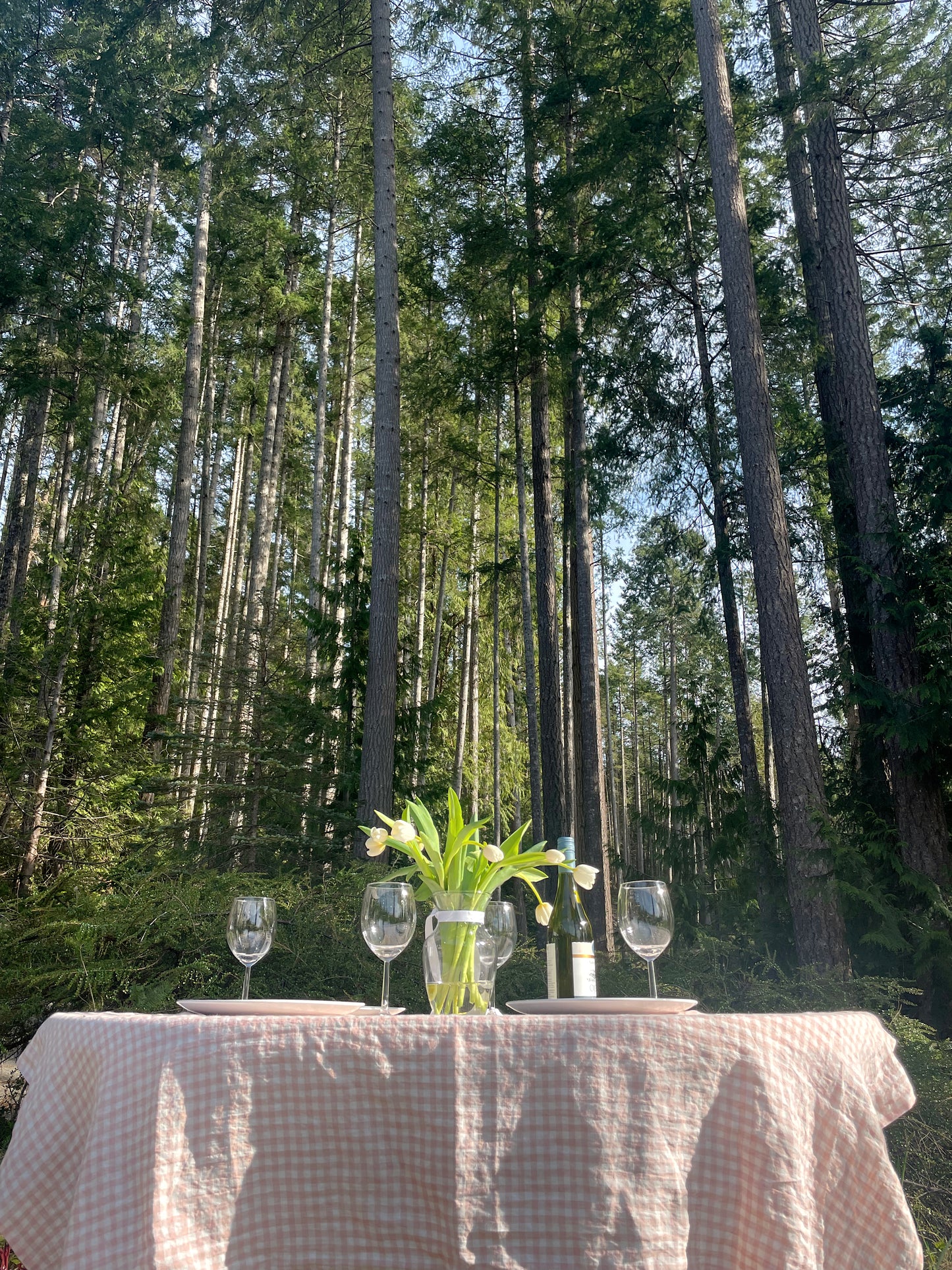 Rose Gingham Tablecloth